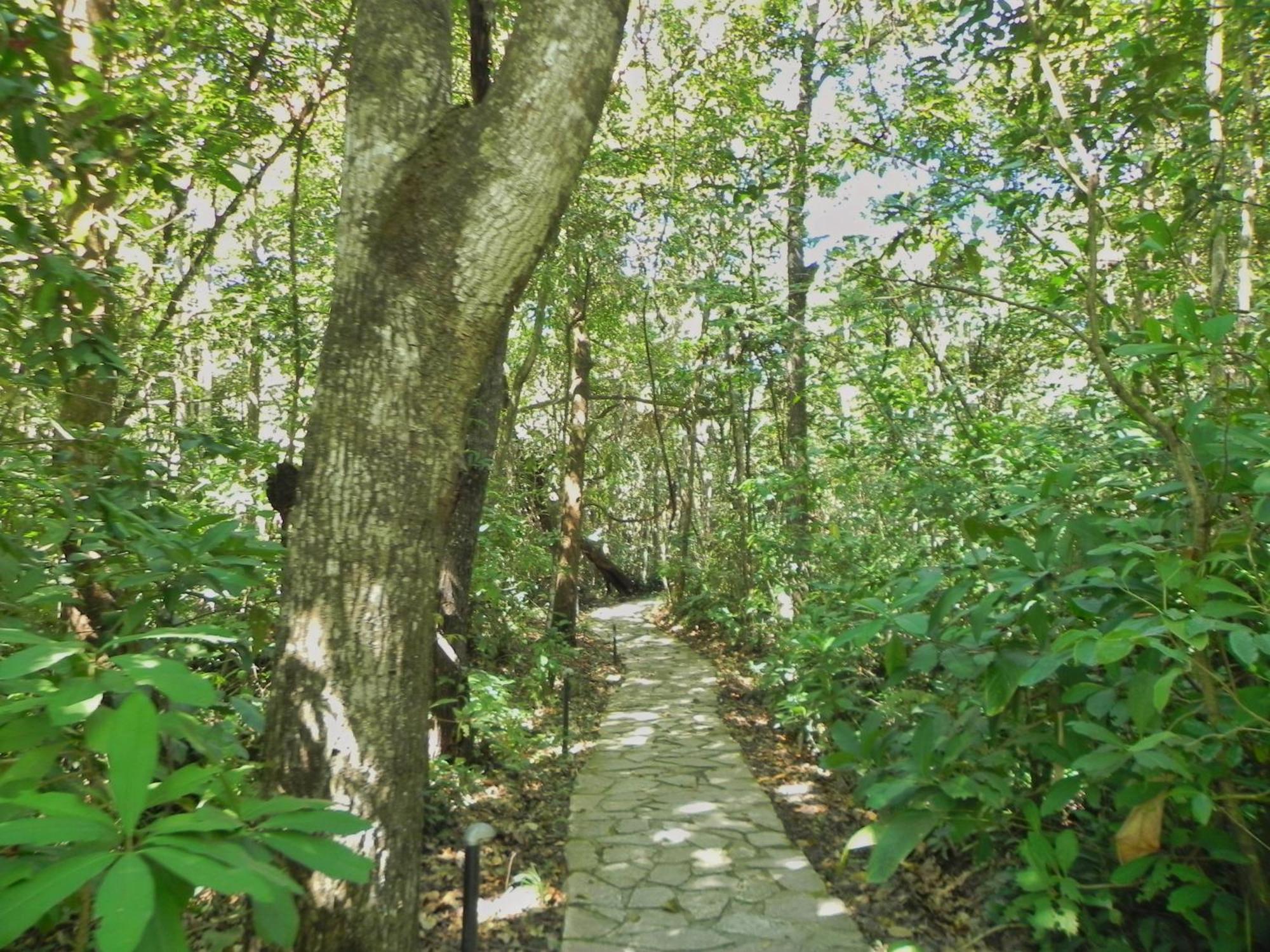 Pousada Eden - Conforto, Imersao E Natureza São Jorge Dış mekan fotoğraf