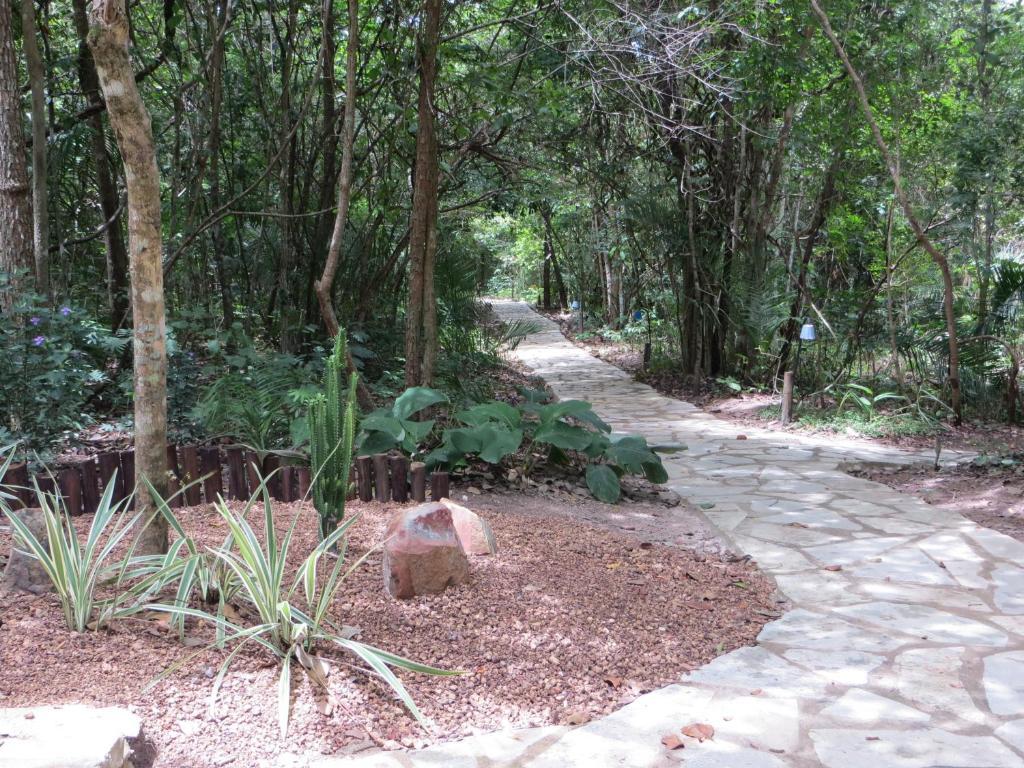 Pousada Eden - Conforto, Imersao E Natureza São Jorge Dış mekan fotoğraf