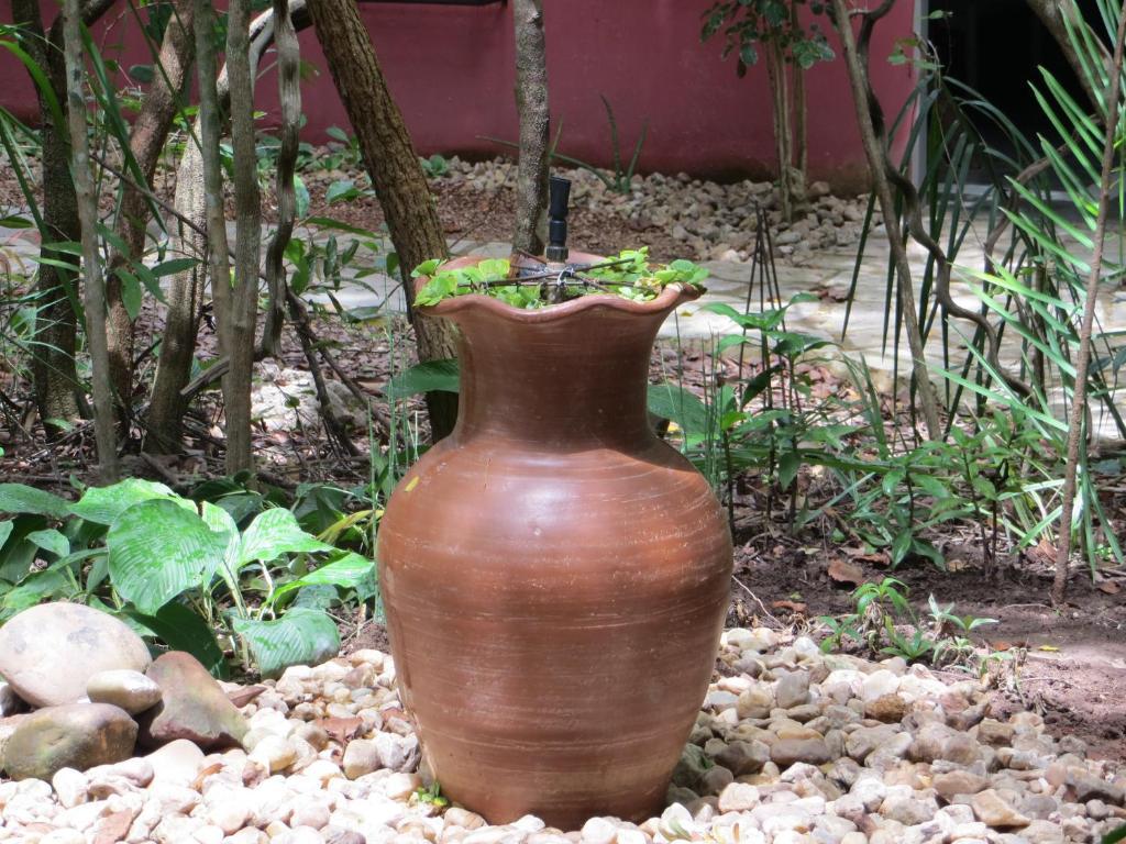 Pousada Eden - Conforto, Imersao E Natureza São Jorge Dış mekan fotoğraf